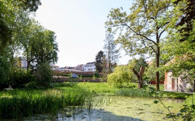 Tijd voor de aanbevelingen van de Burgerraad voor het klimaat